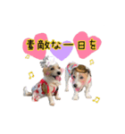 ★コフィエマお仕事中★（個別スタンプ：2）