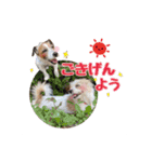 ★コフィエマお仕事中★（個別スタンプ：4）