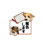 ★コフィエマお仕事中★（個別スタンプ：5）