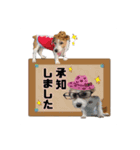 ★コフィエマお仕事中★（個別スタンプ：7）