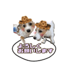 ★コフィエマお仕事中★（個別スタンプ：9）