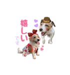 ★コフィエマお仕事中★（個別スタンプ：10）