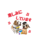 ★コフィエマお仕事中★（個別スタンプ：11）
