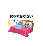 ★コフィエマお仕事中★（個別スタンプ：12）
