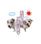 ★コフィエマお仕事中★（個別スタンプ：13）
