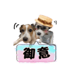 ★コフィエマお仕事中★（個別スタンプ：16）