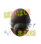 猫のむぎといと②（個別スタンプ：5）
