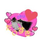 猫のむぎといと②（個別スタンプ：13）
