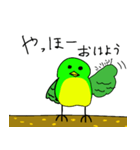 鳥のミーちゃんスタンプ（個別スタンプ：4）