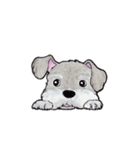 I  love  Schnauzer（個別スタンプ：3）