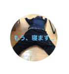 てしスタンプ完全版（個別スタンプ：17）