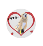 うちのこスタンプ7（個別スタンプ：5）