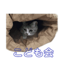 ぺぺさんより 学校 保護者 PTA 子供会 発言（個別スタンプ：2）