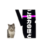ぺぺさんより 学校 保護者 PTA 子供会 発言（個別スタンプ：6）