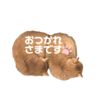 ミー太とちゃちゃ丸2（個別スタンプ：7）