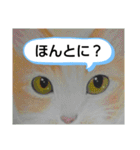 私ちゃんと猫の日常スタンプ（個別スタンプ：5）