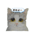 私ちゃんと猫の日常スタンプ（個別スタンプ：6）