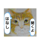 私ちゃんと猫の日常スタンプ（個別スタンプ：8）