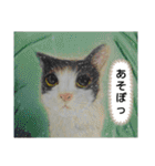 私ちゃんと猫の日常スタンプ（個別スタンプ：9）