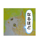 私ちゃんと猫の日常スタンプ（個別スタンプ：11）