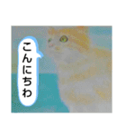 私ちゃんと猫の日常スタンプ（個別スタンプ：13）
