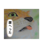 私ちゃんと猫の日常スタンプ（個別スタンプ：15）