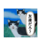 私ちゃんと猫の日常スタンプ（個別スタンプ：16）