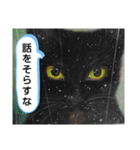 私ちゃんと猫の日常スタンプ（個別スタンプ：19）