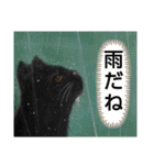 私ちゃんと猫の日常スタンプ（個別スタンプ：20）