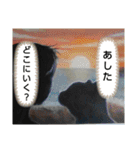 私ちゃんと猫の日常スタンプ（個別スタンプ：27）