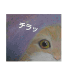 私ちゃんと猫の日常スタンプ（個別スタンプ：29）
