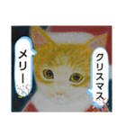 私ちゃんと猫の日常スタンプ（個別スタンプ：40）