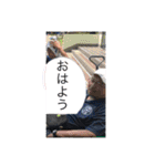 37期スタンプ その1（個別スタンプ：38）