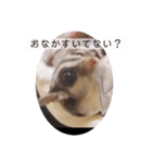 カニヘンダックス 子犬（個別スタンプ：6）