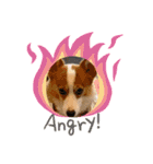 コーギー犬すずちゃん（個別スタンプ：9）