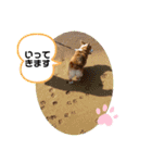 コーギー犬すずちゃん（個別スタンプ：10）