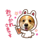 コーギー犬すずちゃん（個別スタンプ：18）