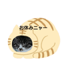 我が家の猫さくら（個別スタンプ：4）
