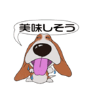 バセットハウンド(犬) 39（個別スタンプ：9）