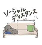 黒ラブ ロビン 基本のスタンプ1（個別スタンプ：34）