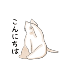 悩ましげな表情のねこ（個別スタンプ：2）