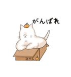 悩ましげな表情のねこ（個別スタンプ：8）