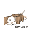 悩ましげな表情のねこ（個別スタンプ：15）