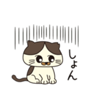 なぎねこさんの日常（個別スタンプ：3）