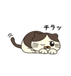 なぎねこさんの日常（個別スタンプ：6）