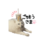うめちゃんひめちゃん（個別スタンプ：5）