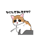 あら坊とむーちゃん（個別スタンプ：1）