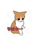 あら坊とむーちゃん（個別スタンプ：2）