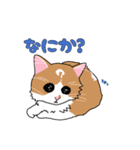 あら坊とむーちゃん（個別スタンプ：3）