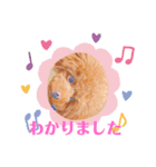 うめちゃんスタンプ①（個別スタンプ：4）